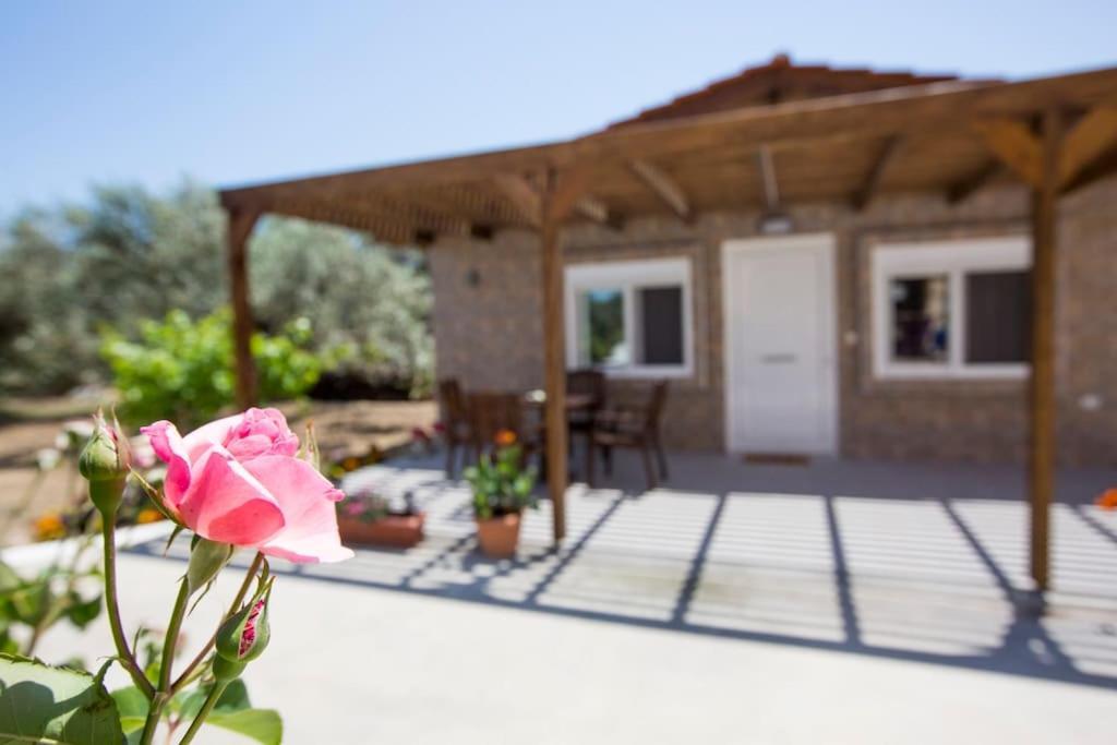 Serenity Studio Beach Home Афанту Экстерьер фото